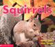 Squirrels  Cover Image