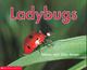 Ladybugs  Cover Image
