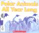 Polar animals all year long  Cover Image