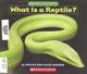 What is a reptile?  Cover Image