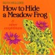 Go to record How to hide a meadow frog and other amphibians