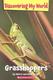 Grasshoppers  Cover Image
