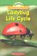 Ladybug life cycle Cover Image