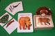 Go to record Brown bear, brown bear [story kit]