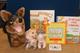 Go to record The three little pigs [story kit]