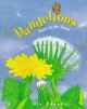 Go to record Dandelions : stars in the grass