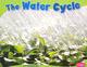 Go to record The water cycle