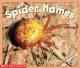 Go to record Spider names