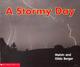 Go to record A stormy day
