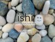 Ishi : simple tips from a solid friend  Cover Image