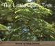 Go to record The little cedar tree