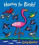 Hooray for birds! [Board book] Cover Image