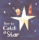 How to catch a star  Cover Image