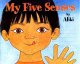 My five senses (Big Book)  Cover Image